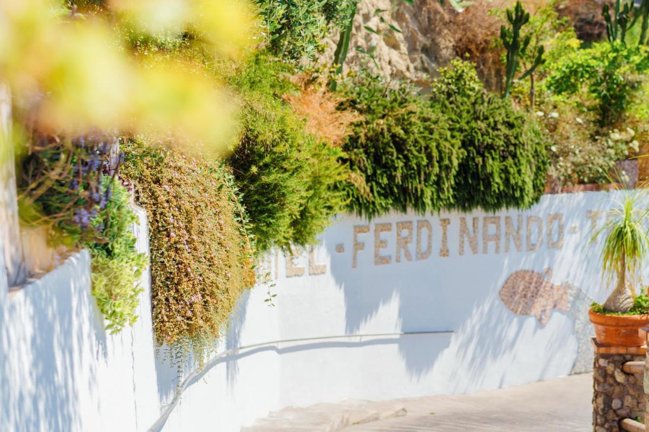 Hotel Ferdinando Beach & Thermal Spa Sant'Angelo  Zewnętrze zdjęcie